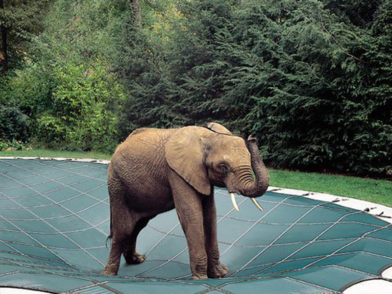 Loop-Loc safety covers
